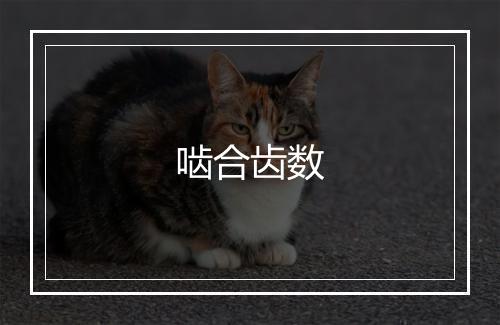 啮合齿数