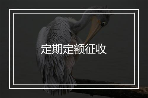 定期定额征收