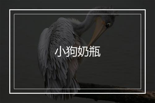 小狗奶瓶