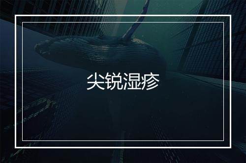 尖锐湿疹