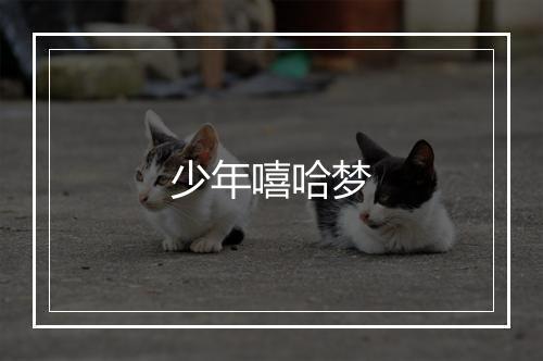 少年嘻哈梦