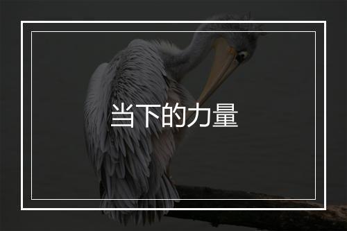 当下的力量