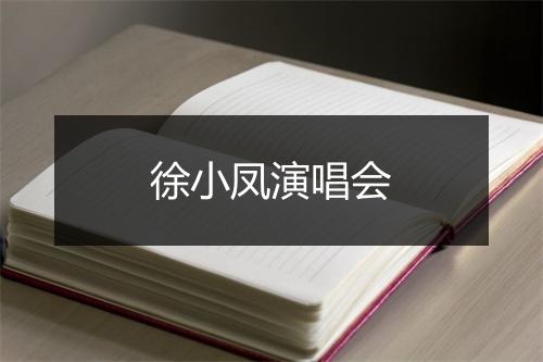 徐小凤演唱会