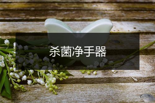 杀菌净手器