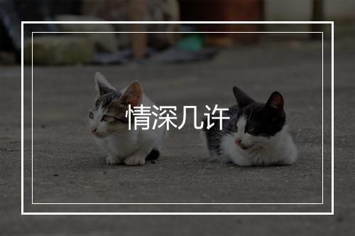 情深几许