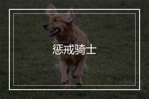 惩戒骑士