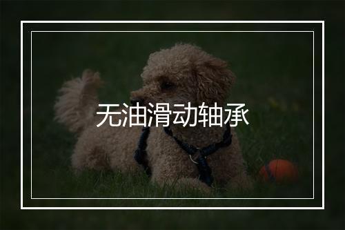 无油滑动轴承