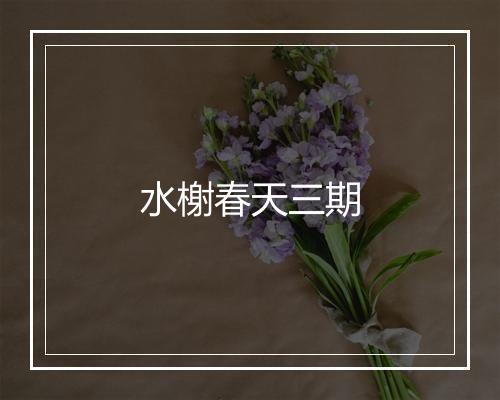 水榭春天三期