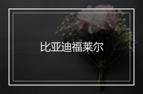 比亚迪福莱尔