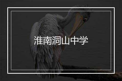 淮南洞山中学