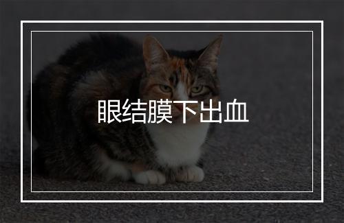 眼结膜下出血