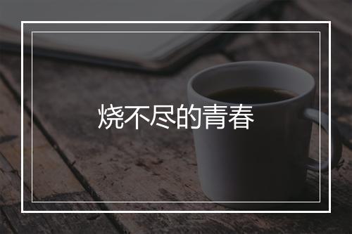 烧不尽的青春