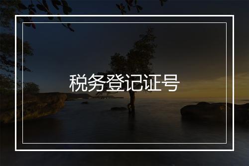 税务登记证号