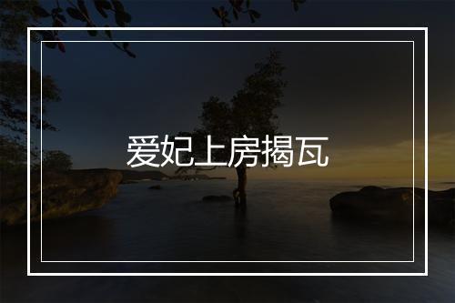 爱妃上房揭瓦