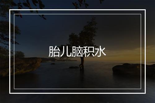 胎儿脑积水