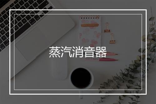 蒸汽消音器