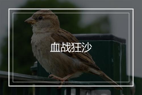 血战狂沙