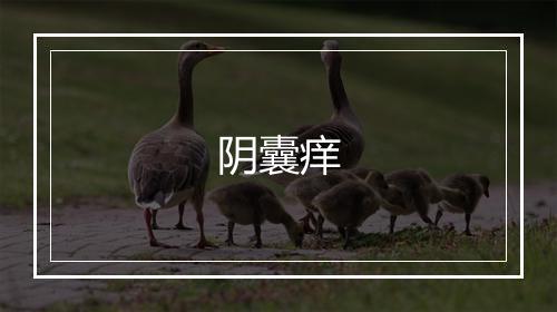 阴囊痒