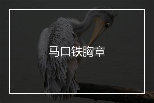 马口铁胸章