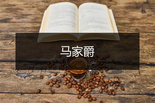 马家爵