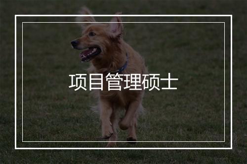 项目管理硕士