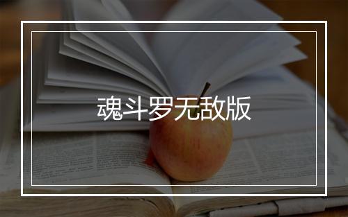 魂斗罗无敌版