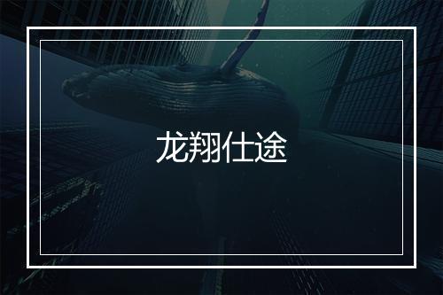 龙翔仕途