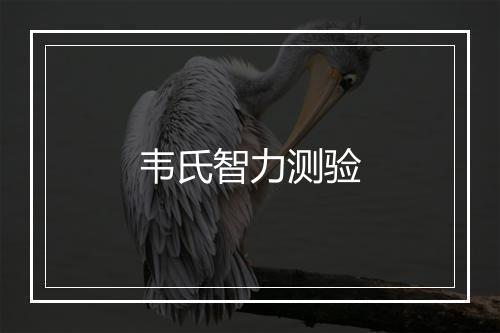 韦氏智力测验