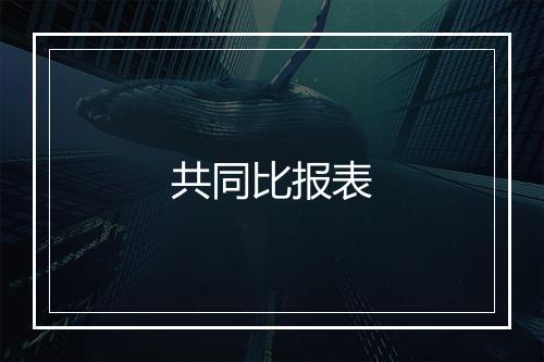 共同比报表