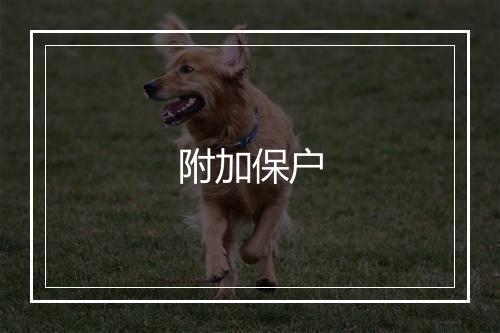 附加保户