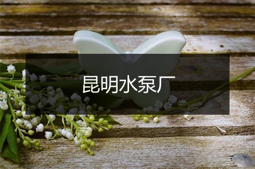 昆明水泵厂