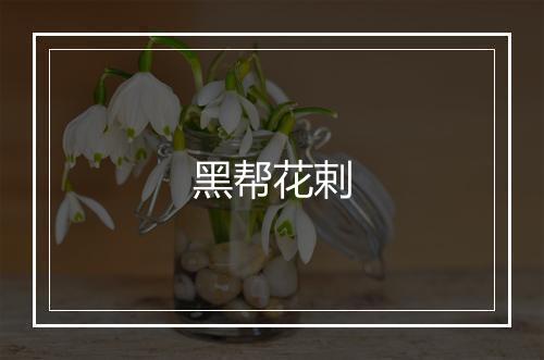 黑帮花剌