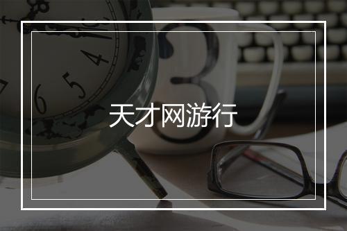 天才网游行