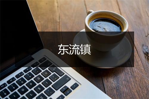 东流镇