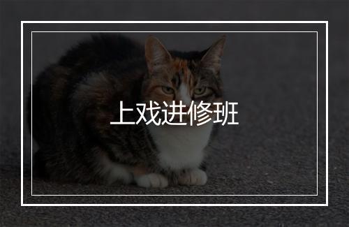 上戏进修班