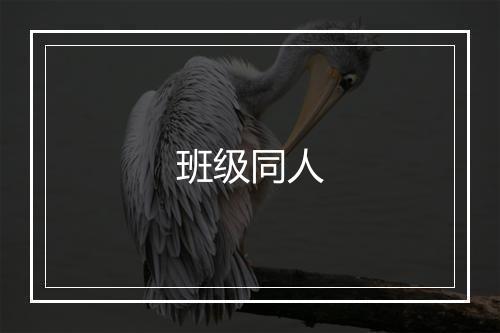 班级同人