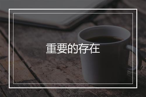 重要的存在