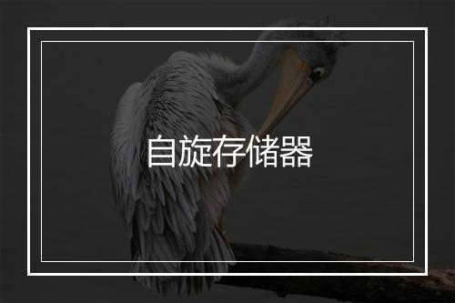 自旋存储器