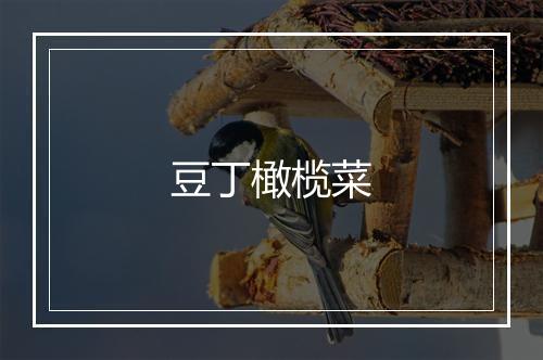 豆丁橄榄菜