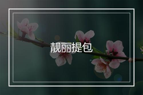 靓丽提包