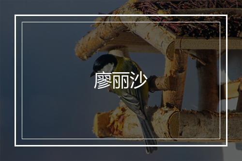 廖丽沙