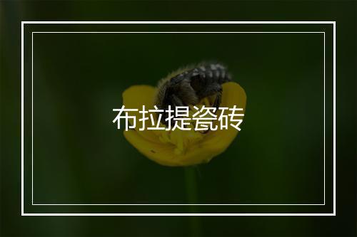 布拉提瓷砖