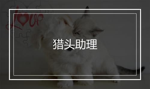 猎头助理