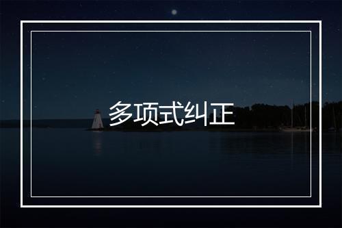 多项式纠正