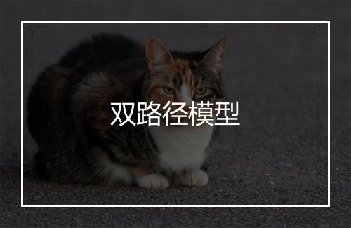 双路径模型