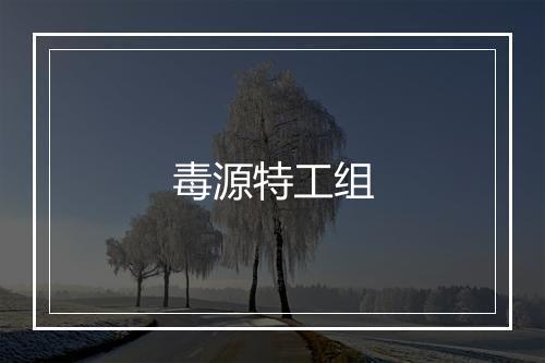 毒源特工组