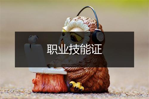 职业技能证