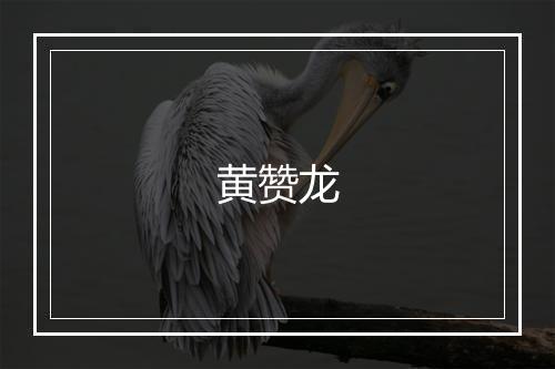 黄赞龙