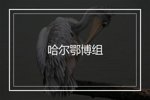 哈尔鄂博组