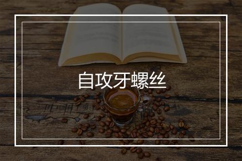 自攻牙螺丝